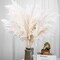 Fluffy Pompas Grass, Natural Dry Pampas Grass Small(Brown,white)
